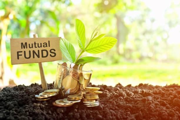 Mutual Fund